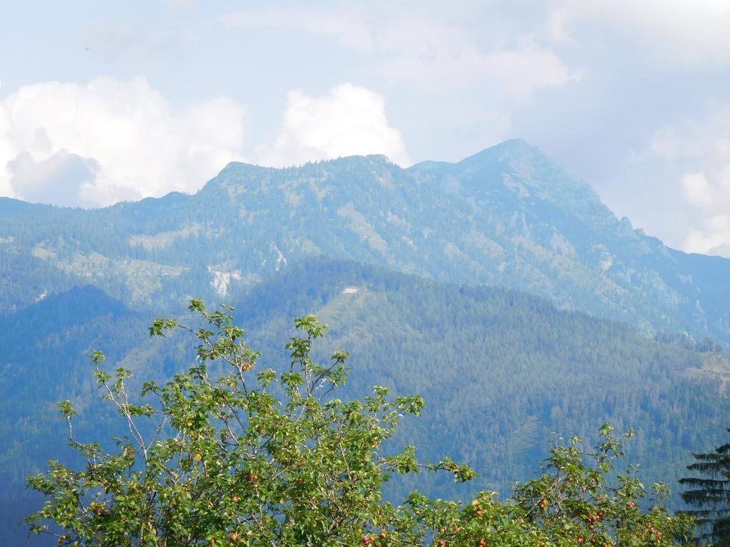 Urlaub Am Bauernhof Blamauer Koehr Göstling an der Ybbs المظهر الخارجي الصورة